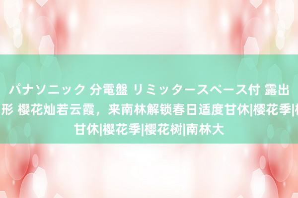 パナソニック 分電盤 リミッタースペース付 露出・半埋込両用形 樱花灿若云霞，来南林解锁春日适度甘休|樱花季|樱花树|南林大