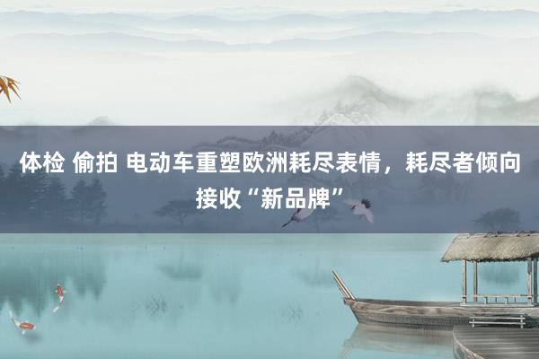 体检 偷拍 电动车重塑欧洲耗尽表情，耗尽者倾向接收“新品牌”