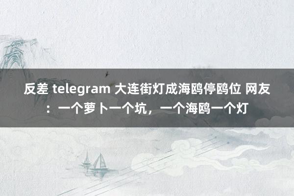 反差 telegram 大连街灯成海鸥停鸥位 网友：一个萝卜一个坑，一个海鸥一个灯