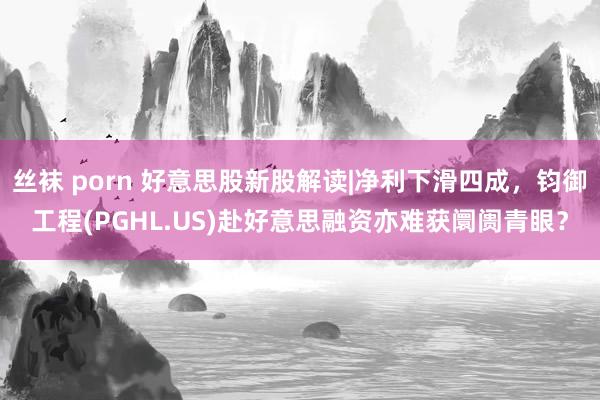 丝袜 porn 好意思股新股解读|净利下滑四成，钧御工程(PGHL.US)赴好意思融资亦难获阛阓青眼？