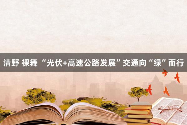 清野 裸舞 “光伏+高速公路发展”交通向“绿”而行
