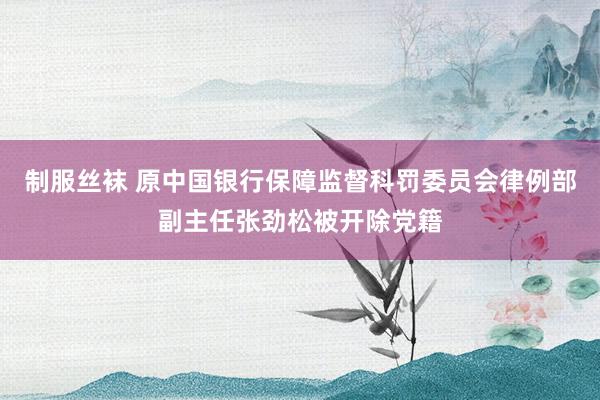 制服丝袜 原中国银行保障监督科罚委员会律例部副主任张劲松被开除党籍