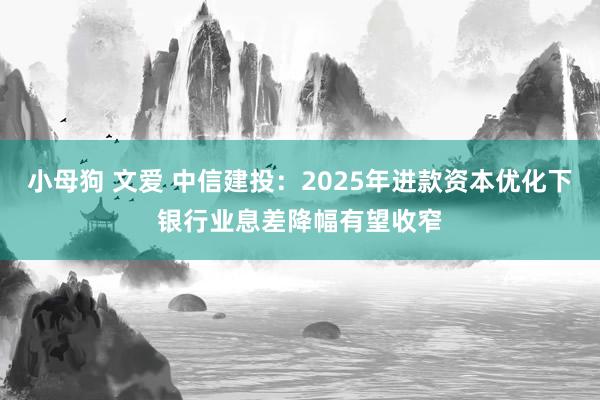 小母狗 文爱 中信建投：2025年进款资本优化下银行业息差降幅有望收窄